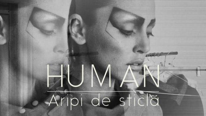 human-#aripidesticla