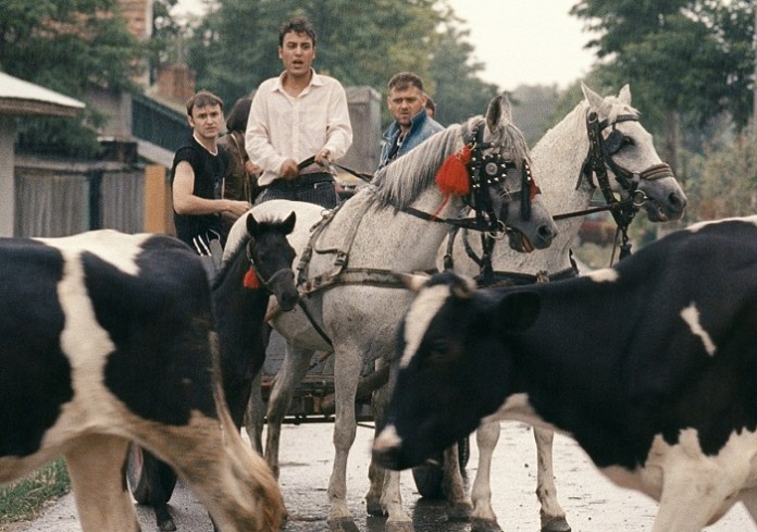 film_A night in Tokoriki