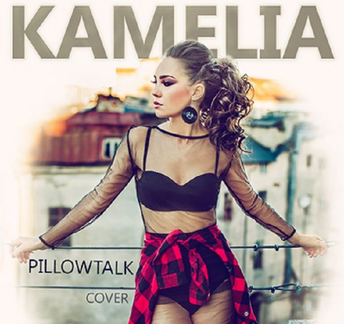 Kamelia_Pillowtalk