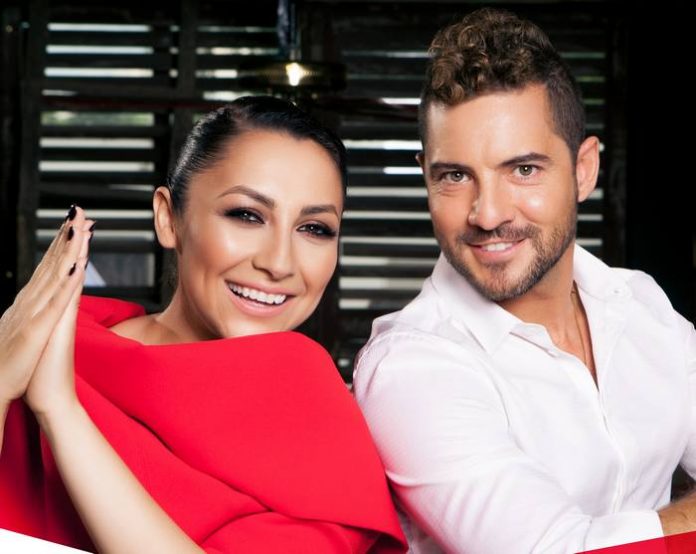 andra david bisbal without you videoclip