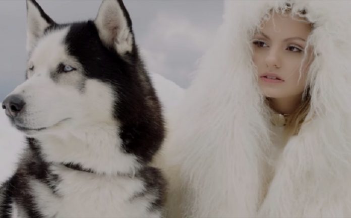 alexandra stan havana ecoute videoclip