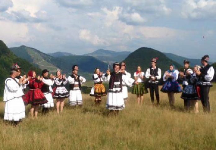 viorel pop melodii