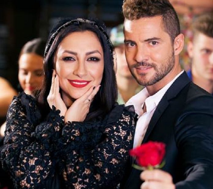 andra-david-bisbal-without-you-youtube