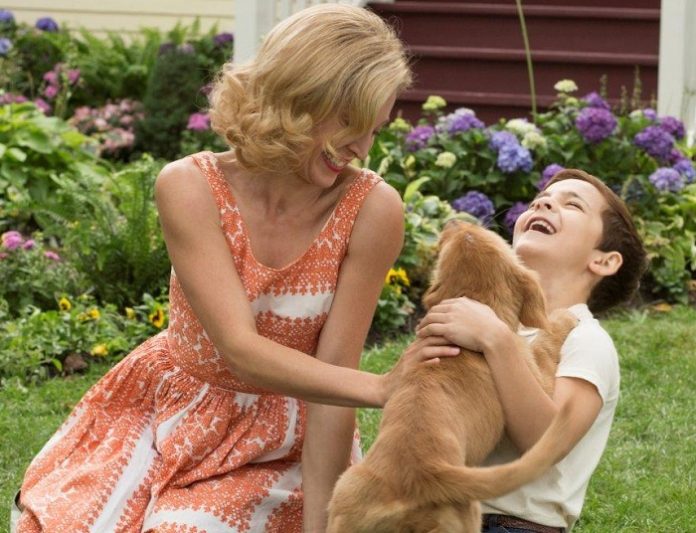 cainele adevaratul meu prieten 2017