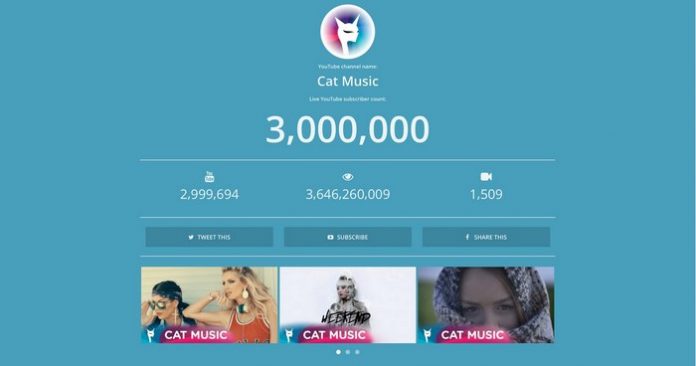 Cat Music