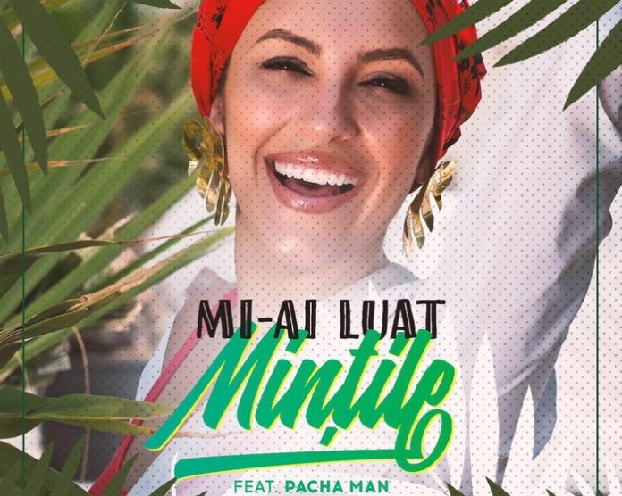 Andra - Mi-ai luat mintile