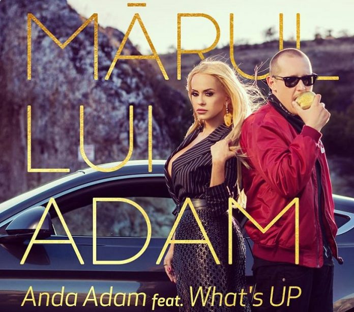 anda adam whats up marul lui adam video