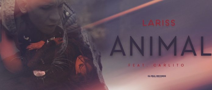 lariss animal twitter