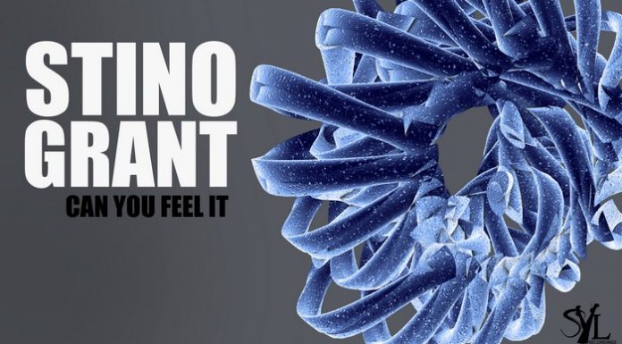 Stino Grant a lansat melodia „Can you feel it“ Stino Grant
