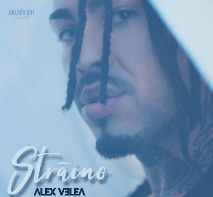 alex velea straino