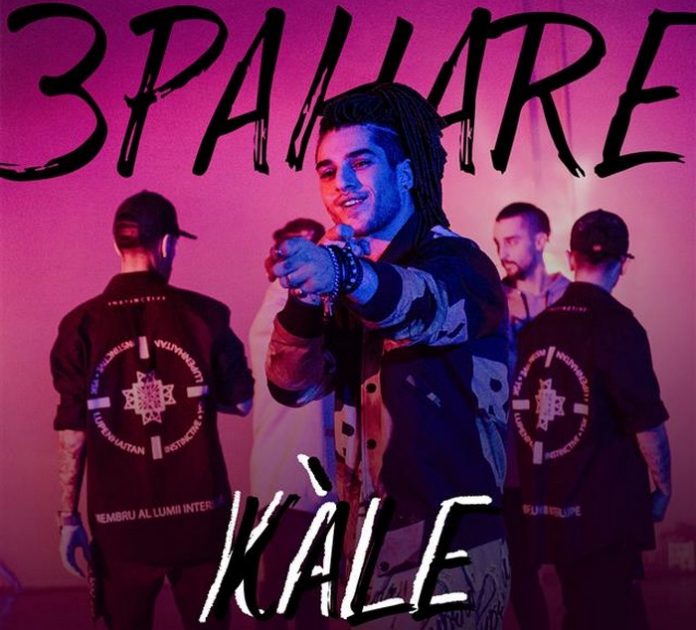 Kale - 3 pahare