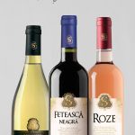 31.08.20-DS-banner-web-site-Traieste-muzica-1