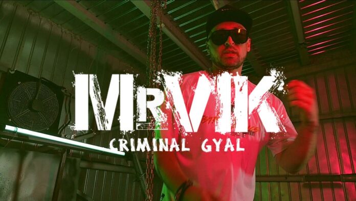 mr vik. criminal gyal