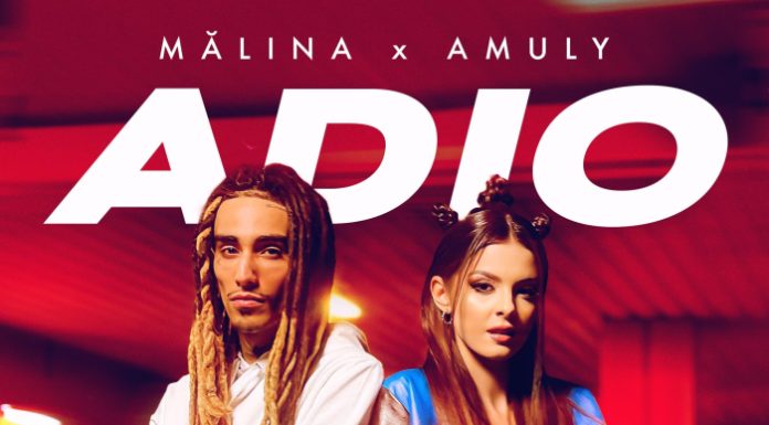 Colaborare specială între Malina și Amuly pentru ”Adio” MALINA x AMULY - Adio